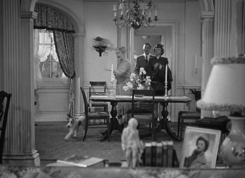 The Thin Man Goes Home