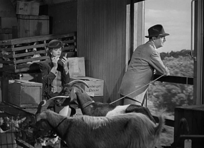 The Thin Man Goes Home