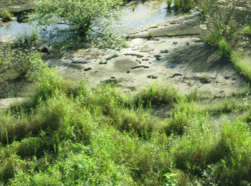 The Unseen River