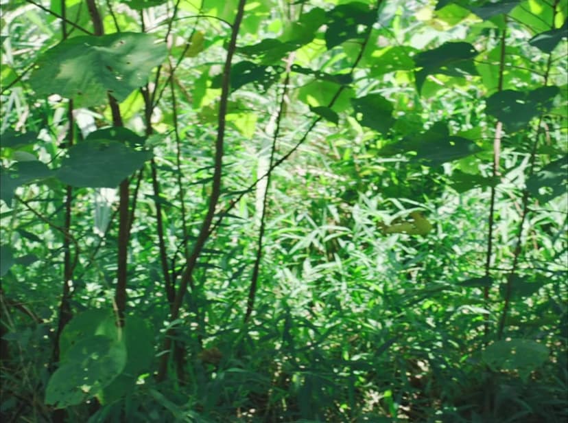 The Unseen River