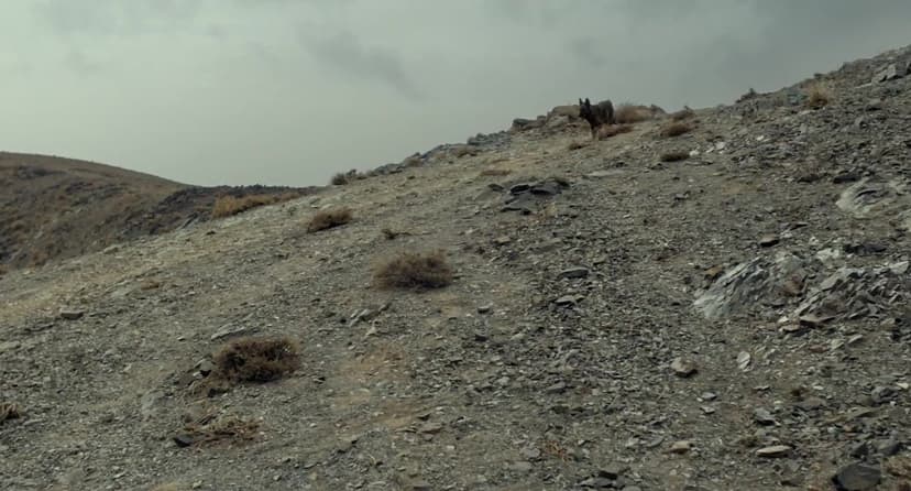 The Wakhan Front