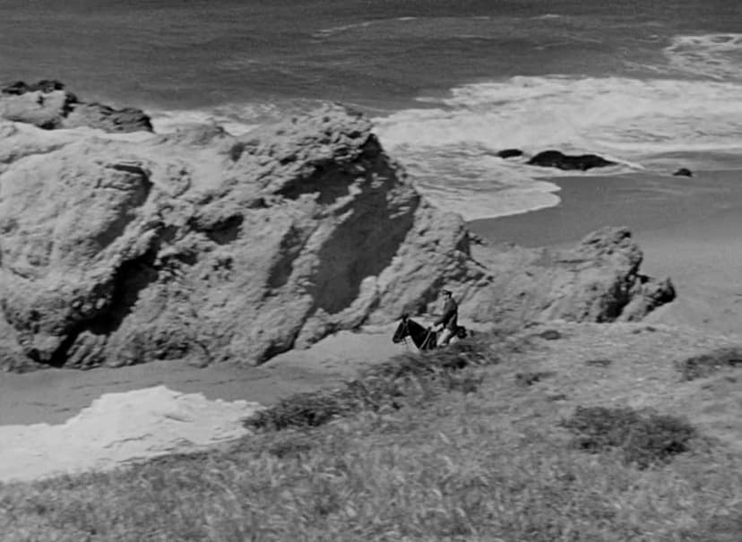 The Woman on the Beach