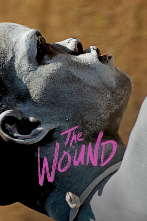 The Wound download