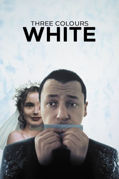 Three Colors: White download