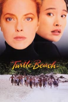 Turtle Beach