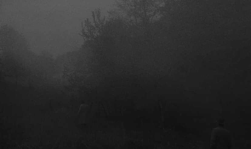 Twilight