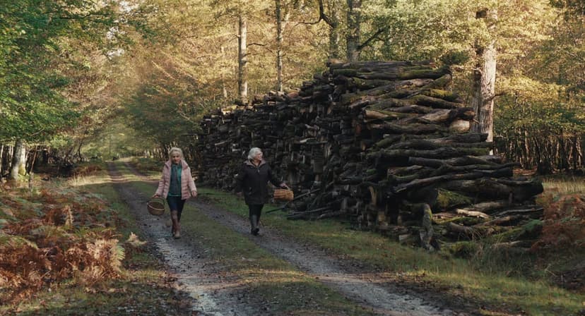 When Fall Is Coming