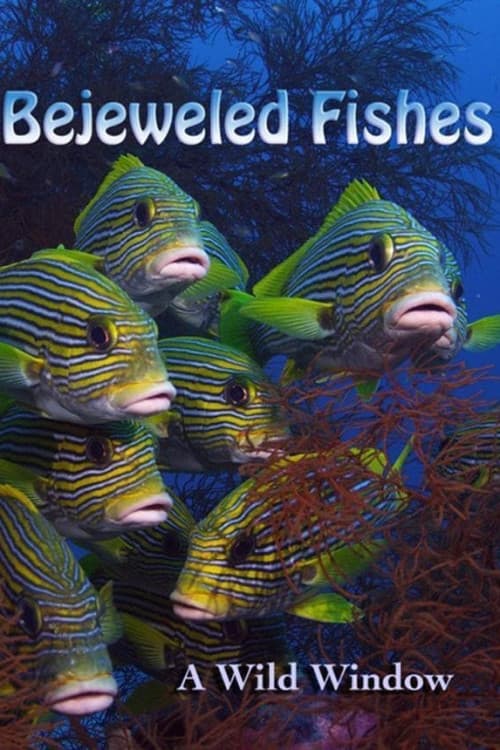 Wild Window: Bejeweled Fishes download