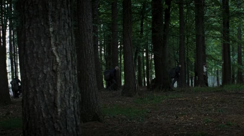 Wilderness