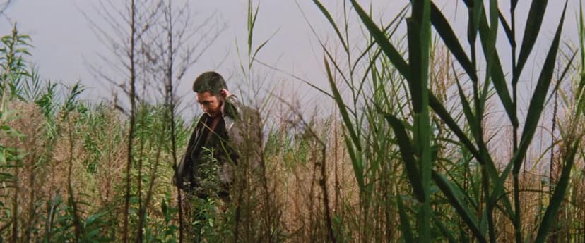 Zatoichi and the One-Armed Swordsman
